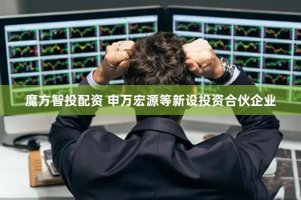 魔方智投配资 申万宏源等新设投资合伙企业