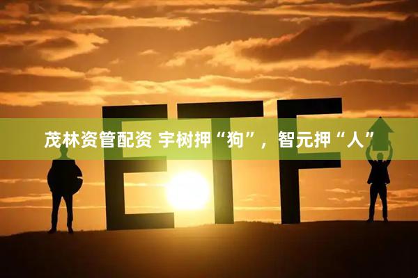 茂林资管配资 宇树押“狗”，智元押“人”